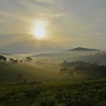 Weather and Climate of Uganda