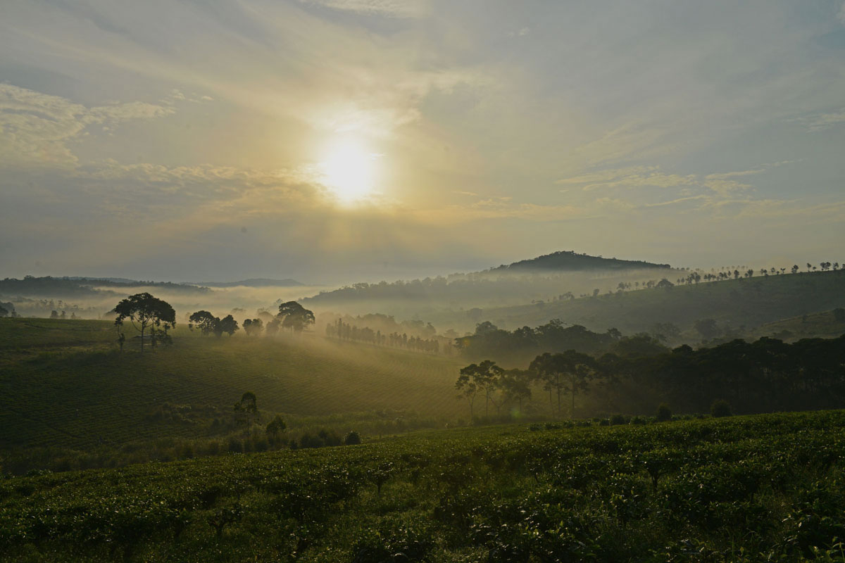 Weather and Climate of Uganda