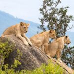 National parks in Uganda